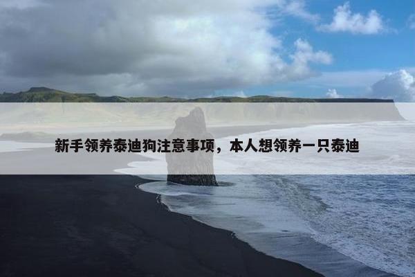 新手领养泰迪狗注意事项，本人想领养一只泰迪
