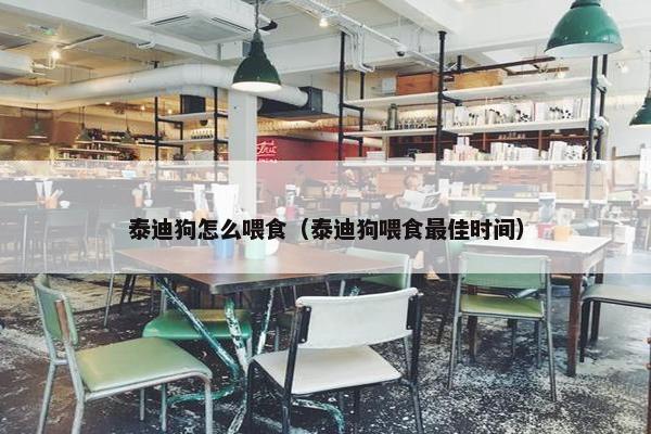 泰迪狗怎么喂食（泰迪狗喂食最佳时间）