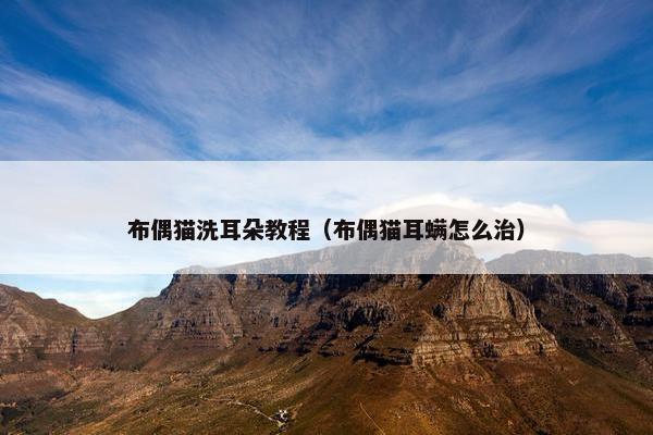 布偶猫洗耳朵教程（布偶猫耳螨怎么治）
