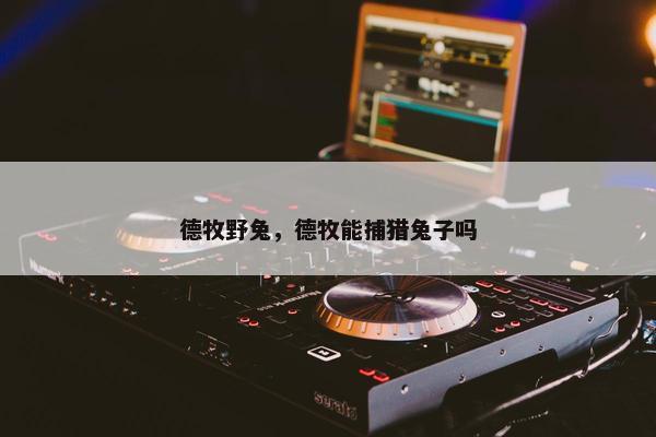 德牧野兔，德牧能捕猎兔子吗