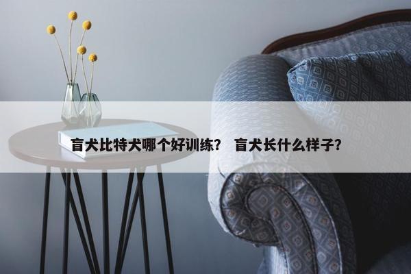 盲犬比特犬哪个好训练？ 盲犬长什么样子？