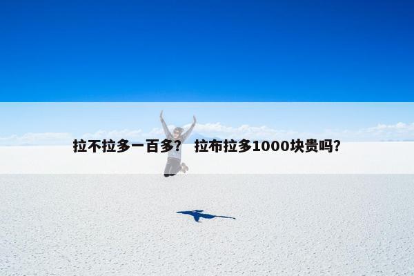 拉不拉多一百多? 拉布拉多1000块贵吗?