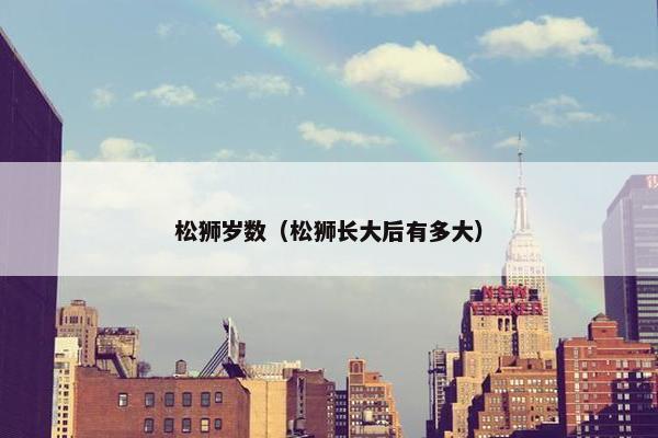 松狮岁数（松狮长大后有多大）
