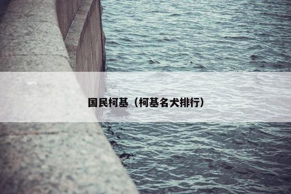 国民柯基（柯基名犬排行）