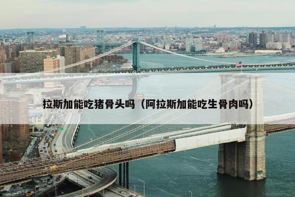 拉斯加能吃猪骨头吗（阿拉斯加能吃生骨肉吗）