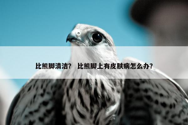 比熊脚清洁？ 比熊脚上有皮肤病怎么办？