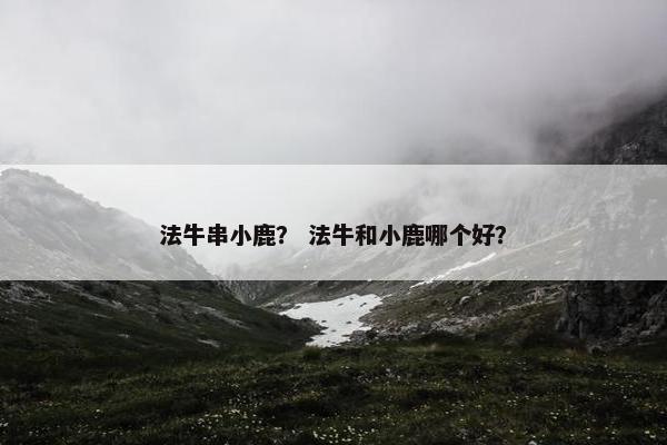 法牛串小鹿? 法牛和小鹿哪个好?