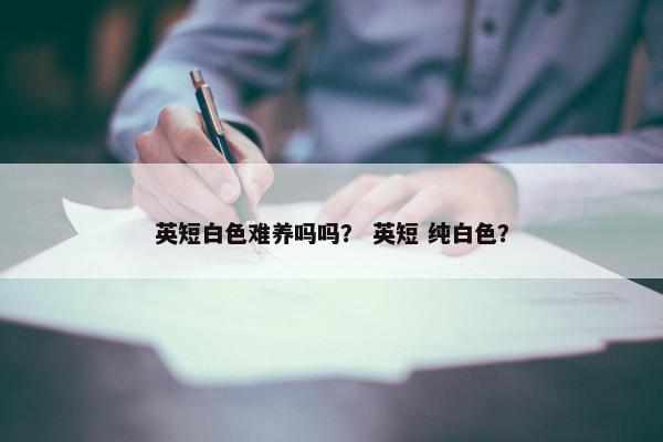 英短白色难养吗吗？ 英短 纯白色？