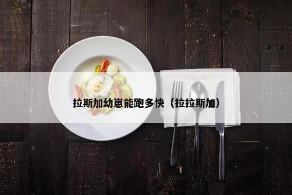 拉斯加幼崽能跑多快（拉拉斯加）