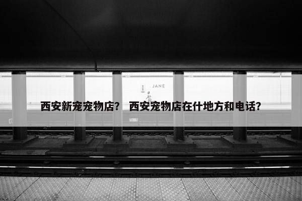 西安新宠宠物店？ 西安宠物店在什地方和电话？