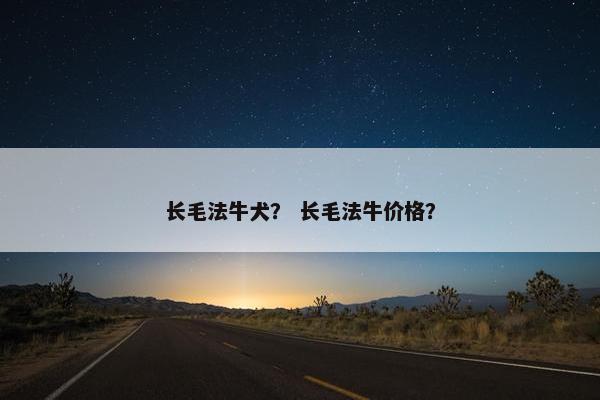 长毛法牛犬？ 长毛法牛价格？