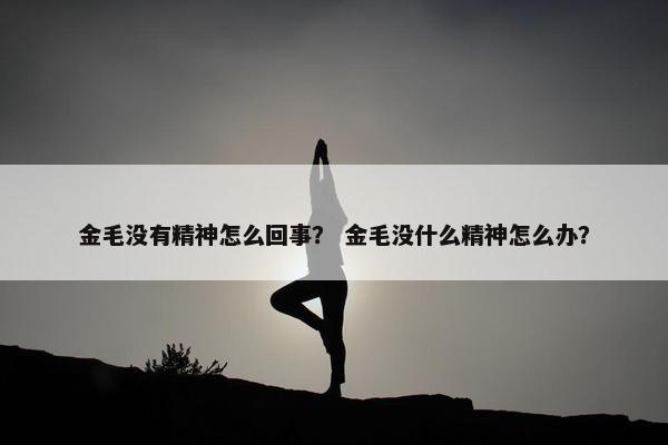 金毛没有精神怎么回事？ 金毛没什么精神怎么办？