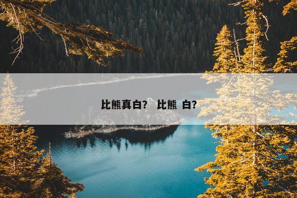 比熊真白？ 比熊 白？