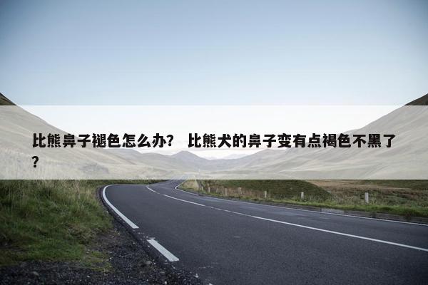 比熊鼻子褪色怎么办？ 比熊犬的鼻子变有点褐色不黑了？