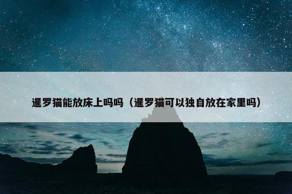 暹罗猫能放床上吗吗（暹罗猫可以独自放在家里吗）