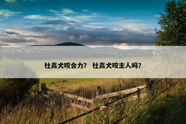 杜高犬咬合力? 杜高犬咬主人吗?