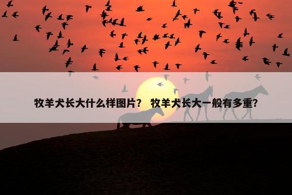 耳朵 第36页