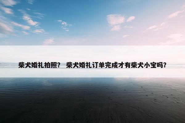 柴犬婚礼拍照？ 柴犬婚礼订单完成才有柴犬小宝吗？