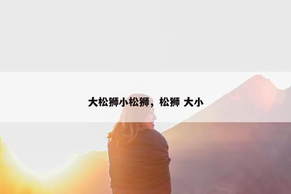 大松狮小松狮，松狮 大小