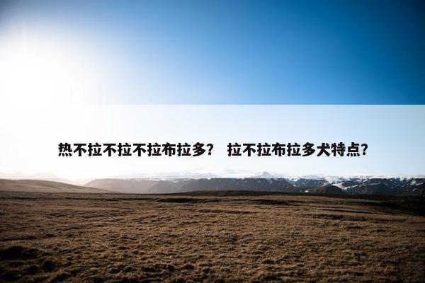 热不拉不拉不拉布拉多？ 拉不拉布拉多犬特点？