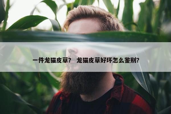 一件龙猫皮草？ 龙猫皮草好坏怎么鉴别？
