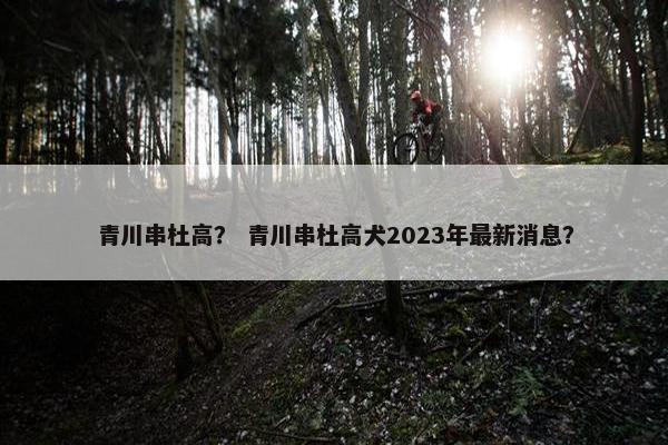 青川串杜高？ 青川串杜高犬2023年最新消息？