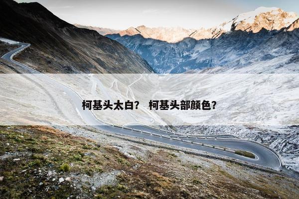 柯基头太白？ 柯基头部颜色？