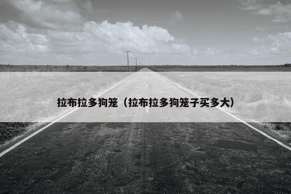 拉布拉多狗笼（拉布拉多狗笼子买多大）