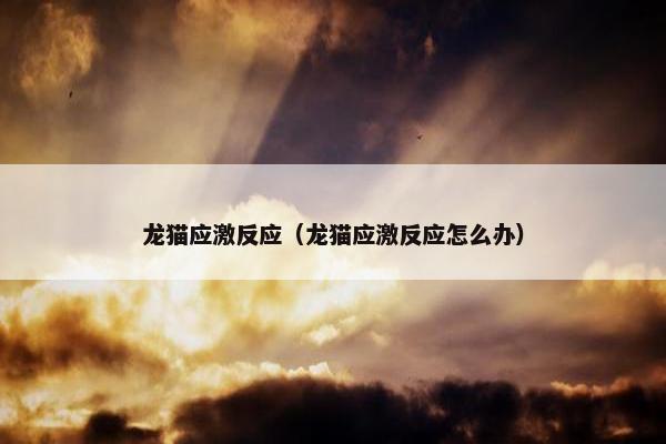 甚至