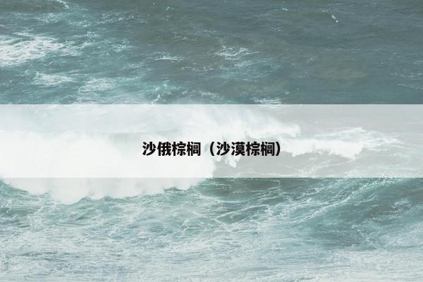 沙俄棕榈（沙漠棕榈）