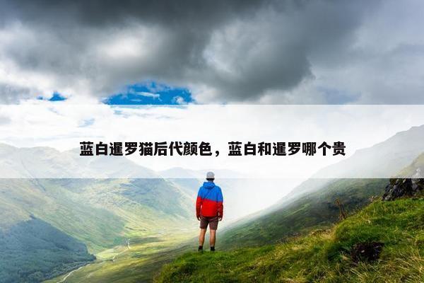 蓝白暹罗猫后代颜色，蓝白和暹罗哪个贵