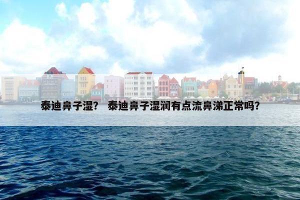 泰迪鼻子湿？ 泰迪鼻子湿润有点流鼻涕正常吗？