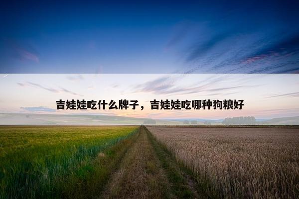 吉娃娃吃什么牌子，吉娃娃吃哪种狗粮好