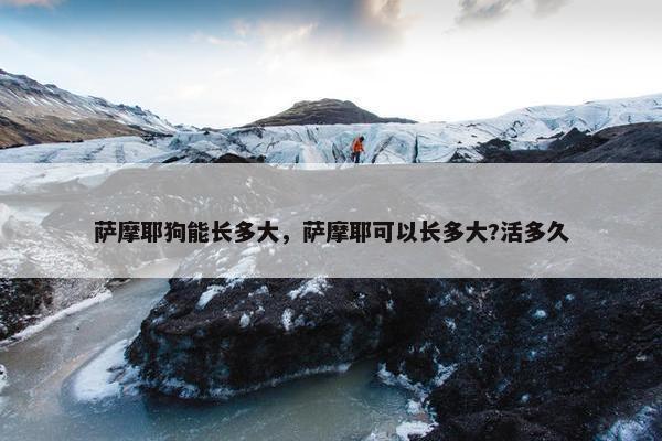 萨摩耶狗能长多大，萨摩耶可以长多大?活多久
