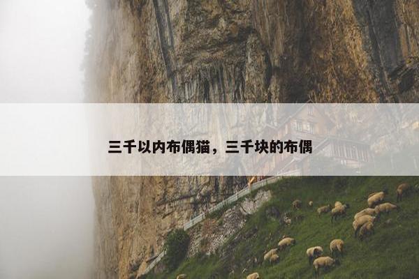 布偶猫 第69页