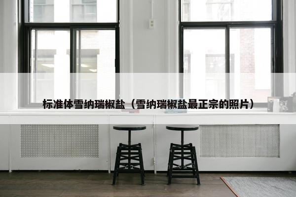 标准体雪纳瑞椒盐（雪纳瑞椒盐最正宗的照片）