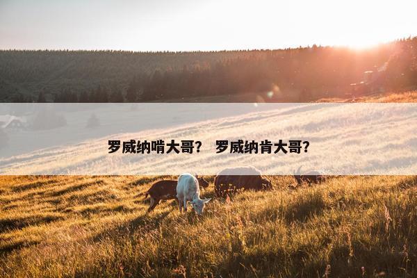 罗威纳啃大哥？ 罗威纳肯大哥？