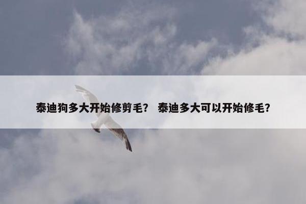 泰迪狗多大开始修剪毛？ 泰迪多大可以开始修毛？