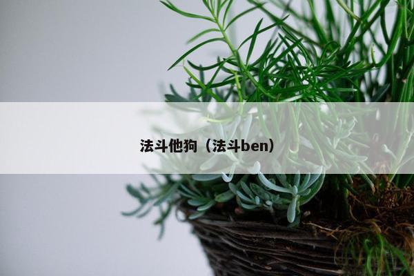 法斗他狗（法斗ben）