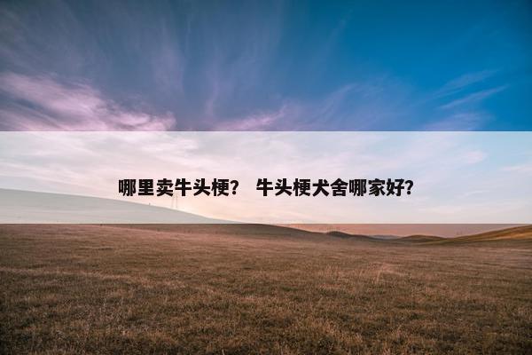 哪里卖牛头梗? 牛头梗犬舍哪家好?