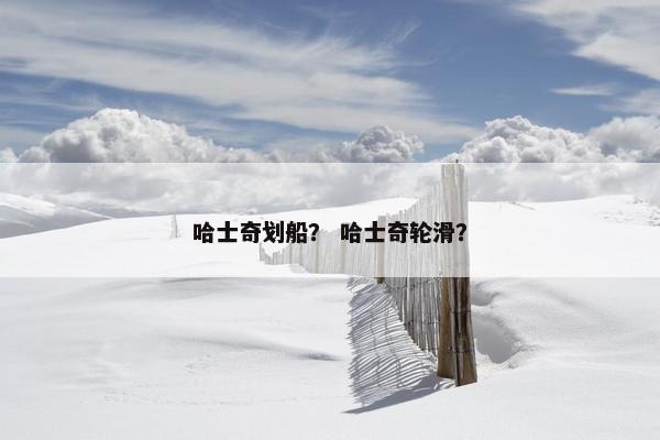 哈士奇划船？ 哈士奇轮滑？