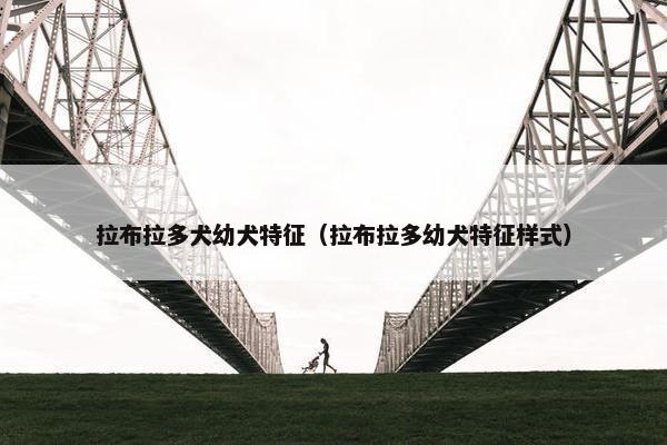 拉布拉多犬幼犬特征（拉布拉多幼犬特征样式）