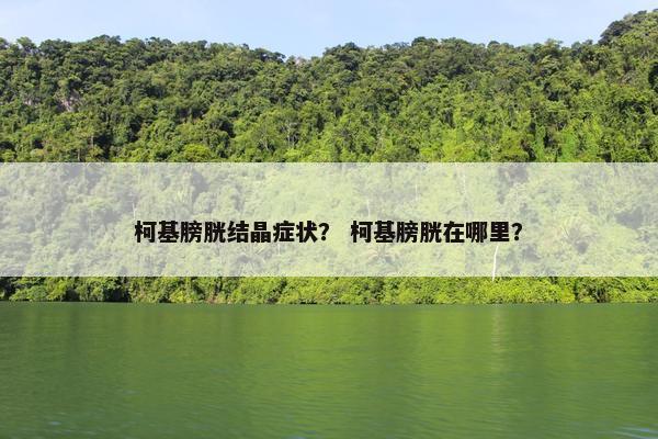 柯基膀胱结晶症状？ 柯基膀胱在哪里？