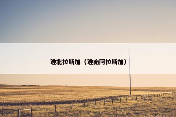 淮北拉斯加（淮南阿拉斯加）