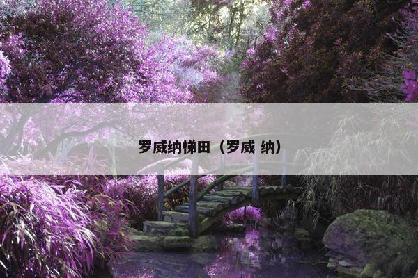 库塔