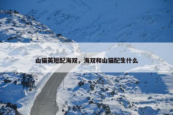 山猫英短配海双，海双和山猫配生什么