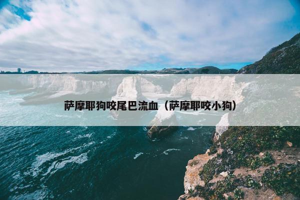 萨摩耶狗咬尾巴流血（萨摩耶咬小狗）