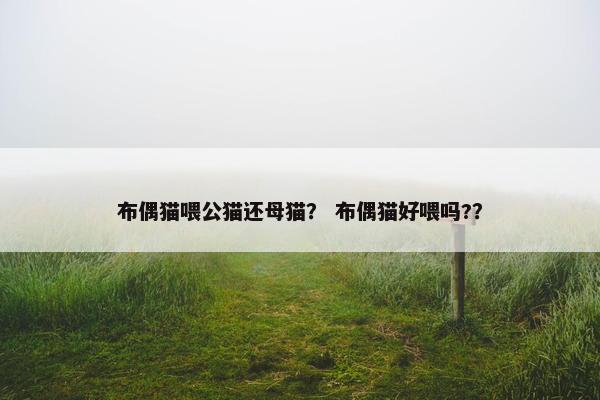 布偶猫喂公猫还母猫？ 布偶猫好喂吗?？