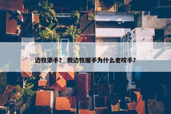 边牧添手？ 教边牧握手为什么老咬手？