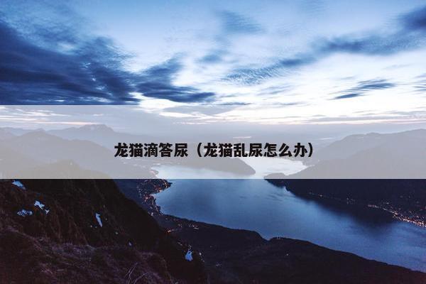 龙猫滴答尿（龙猫乱尿怎么办）